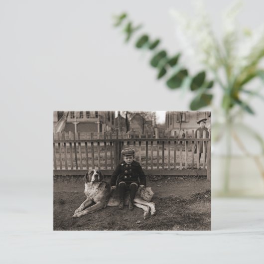 1890年代の少年が聖バーナードの犬の写真に座る ポストカード (スタンド正面)