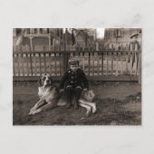 1890年代の少年が聖バーナードの犬の写真に座る ポストカード (正面)
