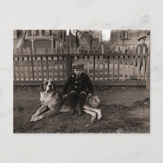 1890年代の少年が聖バーナードの犬の写真に座る ポストカード (正面)