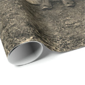 1890年代の少年が聖バーナードの犬の写真に座る ラッピングペーパー (ロールコーナー)