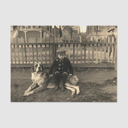 1890年代の少年が聖バーナードの犬の写真に座る 薄葉紙 (正面)