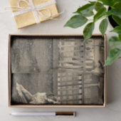 1890年代の少年が聖バーナードの犬の写真に座る 薄葉紙 (ギフト)