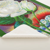 1890年代バラカタログイラストレーションホワイトローズ シェルパブランケット (3/4)