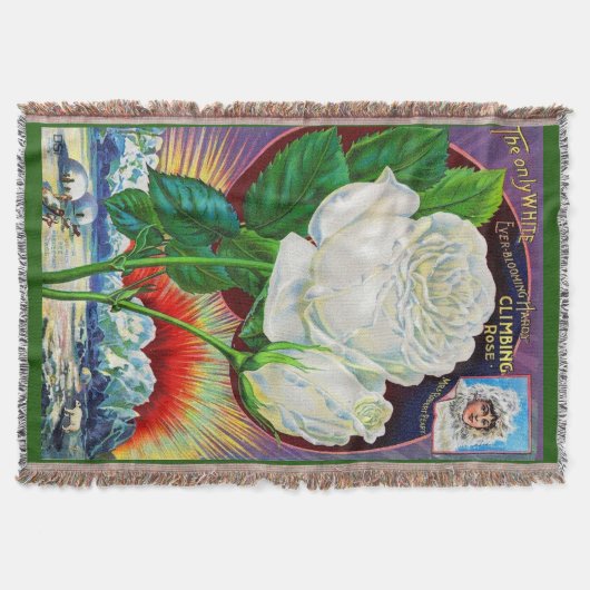 1890年代バラカタログイラストレーションホワイトローズ スローブランケット (正面)