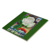 1890年代バラカタログイラストレーションホワイトローズ タイル (側面)