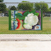 1890年代バラカタログイラストレーションホワイトローズ 横断幕 (インサイチュ)