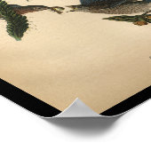 1890鳥のプリント一般的な青い鳥 ポスター (角)