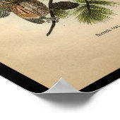 1890鳥のプリント悲鳴フクロウ ポスター (角)