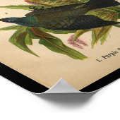 1890鳥のプリント紫の格子 ポスター (角)