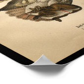 1890鳥のプリント赤尾タカ ポスター (角)