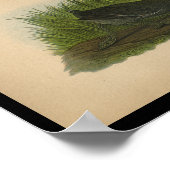 1890鳥プリントアメリカンコット ポスター (角)