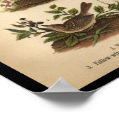 1890鳥プリントスズメ ポスター (角)