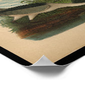 1890鳥プリントナイトヘロン ポスター (角)