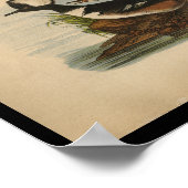 1890鳥プリントパードメルガンザー ポスター (角)