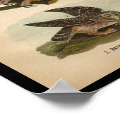 1890鳥プリントフクロウ ポスター (角)