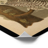 1890鳥プリントフクロウ ポスター (角)