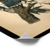 1890鳥プリントブルージェイ ポスター (角)