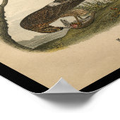 1890鳥プリントマーシュタカ ポスター (角)