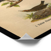 1890鳥プリントモッキンバード ポスター (角)