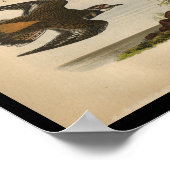 1890鳥プリント殺し ポスター (角)