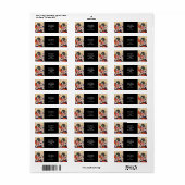 1894日本の年絵画頃 ラベル (フルシート)