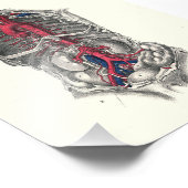 1895ヒト解剖学プリント動脈 フォトプリント            (角)