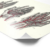 1895人解剖学プリント手 フォトプリント            (角)