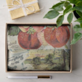 1895年リード園芸カタログ 薄葉紙 (ギフト)