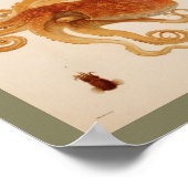 1896ヴィンテージカラタコプリント ポスター (角)