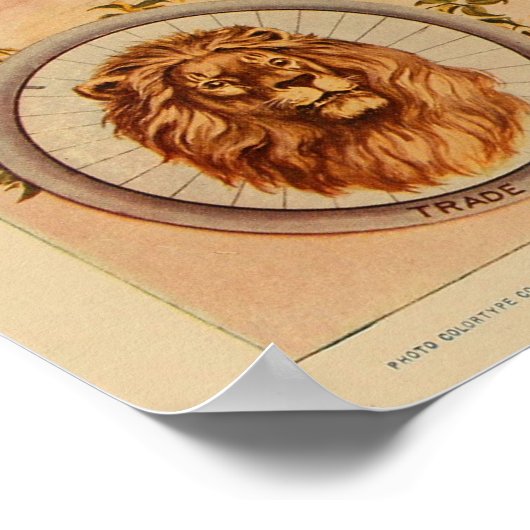 1896ヴィンテージカラー（昆虫）オオカバマダラ、モナーク自転車とアートポスター ポスター (角)