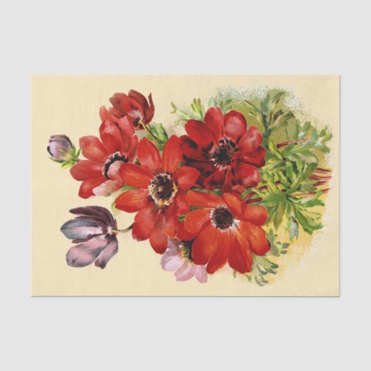 1898年のティッシュペーパーの旧式なWindflower 薄葉紙 (正面)