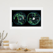 1898年以来の地震、世界観 ポスター (キッチン)