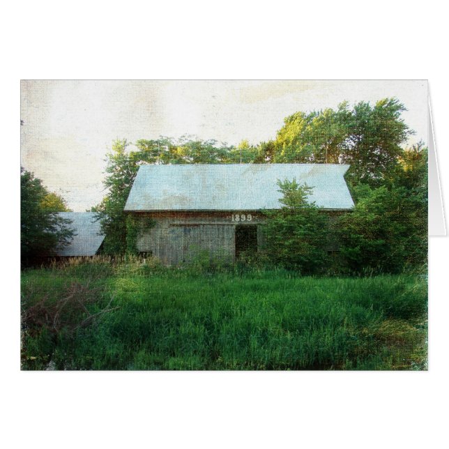 1899バーン (正面横)