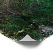 1899バーン ポスター (角)