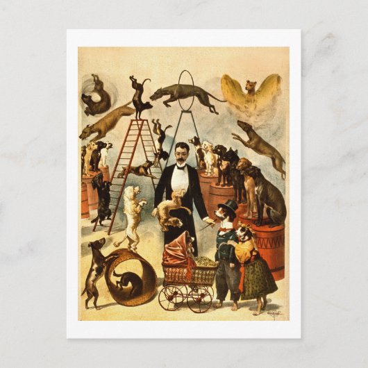 1899年ヴィンテージサーカス法ポスター ポストカード (正面)
