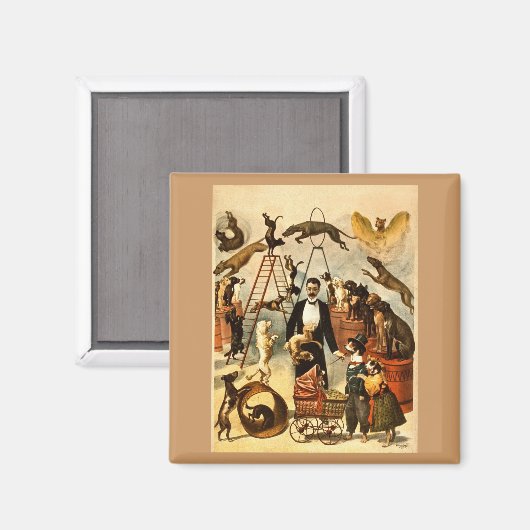 1899年犬の訓練を受けた法 – ヴィンテージサーカス法ポスター マグネット (正面/裏面)