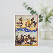 1899年、素晴らしい訓練を受けたサーカスシール ポストカード (スタンド正面)