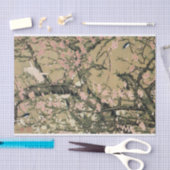 18.桃花小禽図、若冲桃の花と小鳥、若冲 薄葉紙 (クラフト)