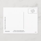 18,367クリスマス シーズンポストカード (裏面)