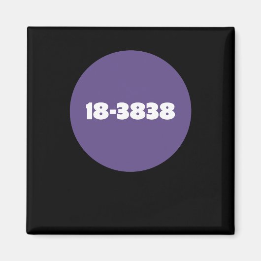 18-3838 マグネット (正面)
