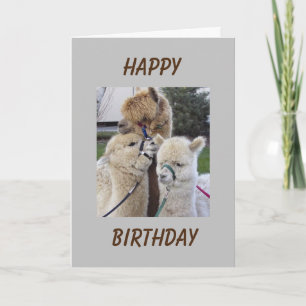 **18th**誕生日の願い – "YOU"カード専用 カード