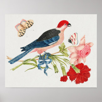 18th Century Vintage Birds, Flowers & Butterflies ポスター