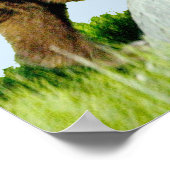 18x24グリズリーベアカブのポスター紙(マット) ポスター (角)