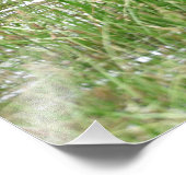 18x24ムースのサテン写真 フォトプリント            (角)