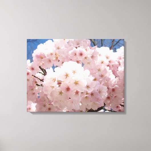18x24 桜の花 カンバスプリント キャンバスプリント (正面)