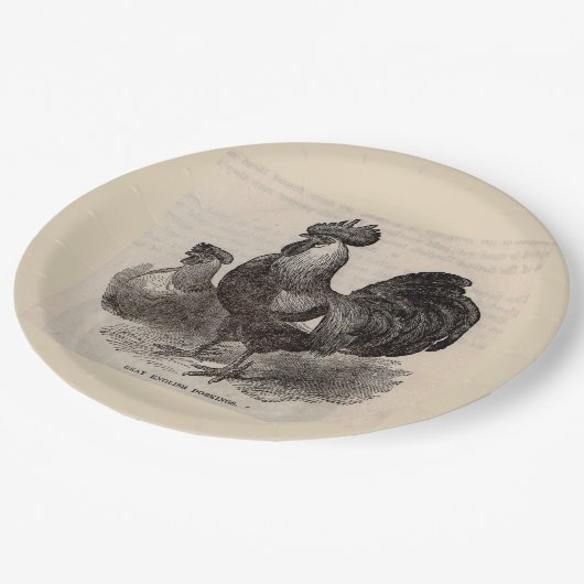 19世紀なプリントの灰色の英国のdorkingsの鶏 ペーパープレート (アングル)