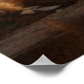 19世紀に廃墟となった古い美しいポスター ポスター (角)