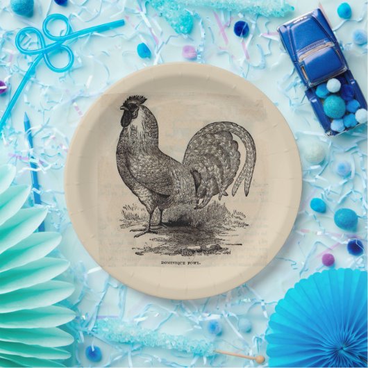 19世紀のプリントのドミニク家禽 ペーパープレート (パーティー)