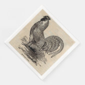 19世紀のプリントドミニク鳥 (コーナー)