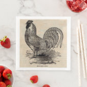 19世紀のプリントドミニク鳥 (インサイチュ)